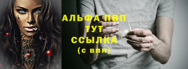 ПСИЛОЦИБИНОВЫЕ ГРИБЫ Туринск