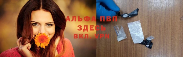 ПСИЛОЦИБИНОВЫЕ ГРИБЫ Туринск