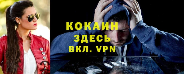 ПСИЛОЦИБИНОВЫЕ ГРИБЫ Туринск
