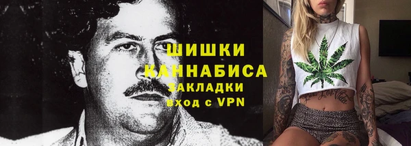 ПСИЛОЦИБИНОВЫЕ ГРИБЫ Туринск