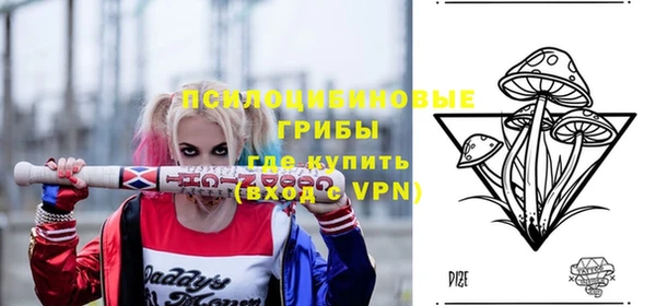 бутират Тында